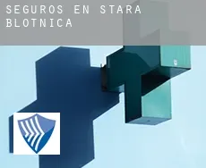 Seguros en  Stara Błotnica