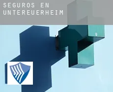 Seguros en  Untereuerheim