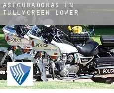 Aseguradoras en  Tullycreen Lower