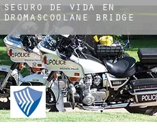 Seguro de vida en  Dromascoolane Bridge