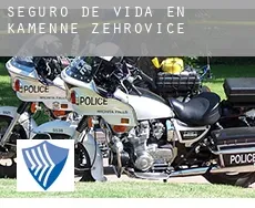 Seguro de vida en  Kamenné Žehrovice