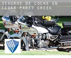 Seguros de coche en  Cedar Party Creek