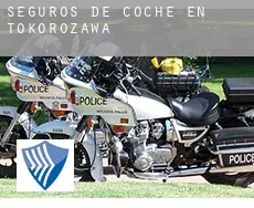 Seguros de coche en  Tokorozawa