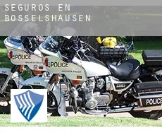 Seguros en  Bosselshausen