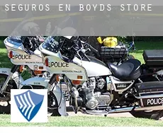 Seguros en  Boyds Store