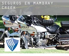 Seguros en  Mambray Creek