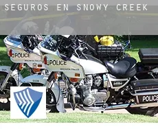 Seguros en  Snowy Creek