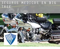Seguros medicos en  Big Tree