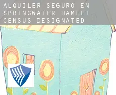 Alquiler seguro en  Springwater Hamlet