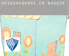 Aseguradoras en  Badger