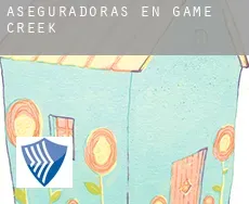 Aseguradoras en  Game Creek