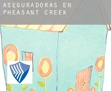 Aseguradoras en  Pheasant Creek