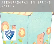 Aseguradoras en  Spring Valley