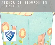 Asesor de seguros en  Holzweißig