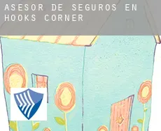 Asesor de seguros en  Hooks Corner