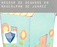 Asesor de seguros en  Naucalpan de Juárez