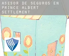 Asesor de seguros en  Prince Albert Settlement