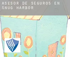 Asesor de seguros en  Snug Harbor
