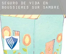 Seguro de vida en  Boussières-sur-Sambre