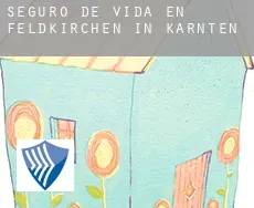 Seguro de vida en  Feldkirchen in Kärnten