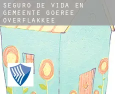 Seguro de vida en Gemeente Goeree-Overflakkee