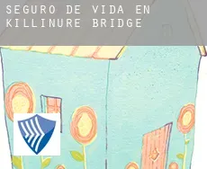 Seguro de vida en  Killinure Bridge