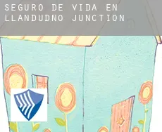 Seguro de vida en  Llandudno Junction