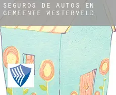 Seguros de autos en  Gemeente Westerveld