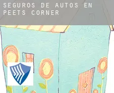 Seguros de autos en  Peets Corner