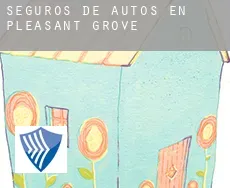 Seguros de autos en  Pleasant Grove