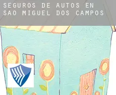 Seguros de autos en  São Miguel dos Campos