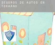 Seguros de autos en  Tokaanu