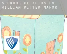 Seguros de autos en  William Ritter Manor