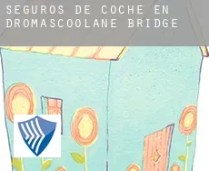 Seguros de coche en  Dromascoolane Bridge