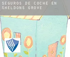Seguros de coche en  Sheldons Grove