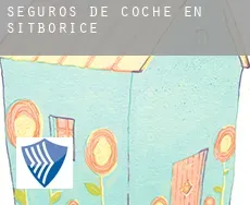 Seguros de coche en  Šitbořice