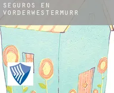 Seguros en  Vorderwestermurr