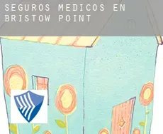 Seguros medicos en  Bristow Point