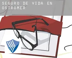 Seguro de vida en  Ostroměř