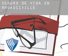 Seguro de vida en  Rhoadesville