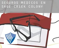 Seguros medicos en  Sage Creek Colony