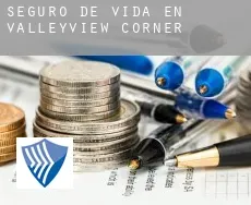 Seguro de vida en  Valleyview Corner