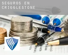 Seguros en  Crigglestone