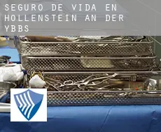 Seguro de vida en  Hollenstein an der Ybbs