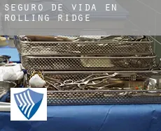 Seguro de vida en  Rolling Ridge