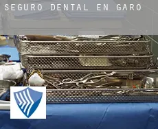 Seguro dental en Garo