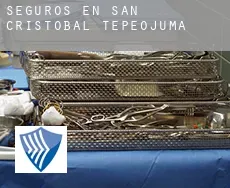 Seguros en  San Cristobal Tepeojuma